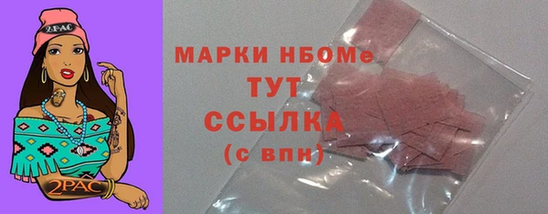 стаф Нея