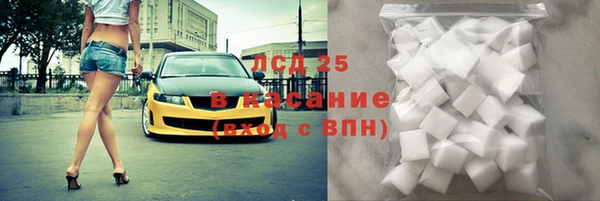 стаф Нея