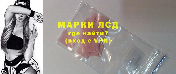 стаф Нея
