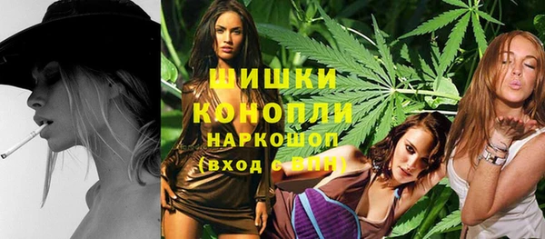 стаф Нея