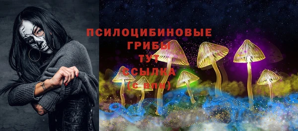 стаф Нея