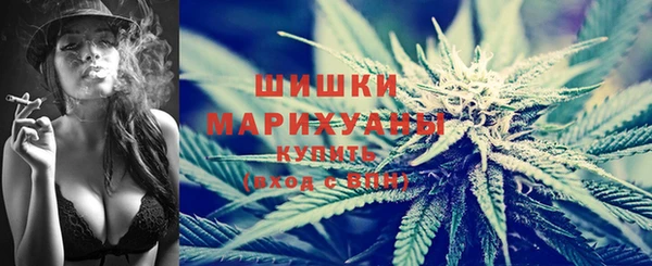 стаф Нея