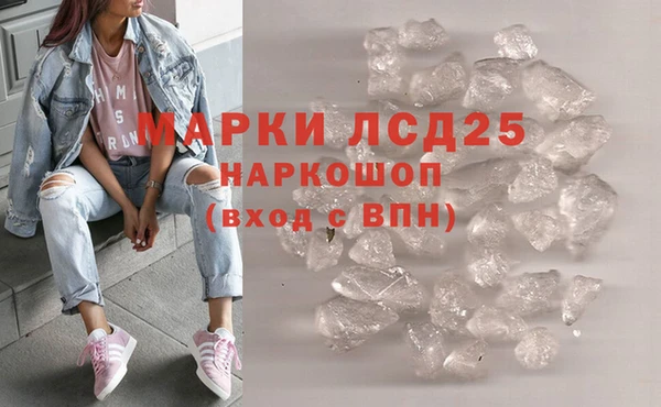 стаф Нея