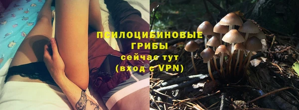стаф Нея