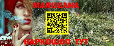 прущие грибы Гусиноозёрск