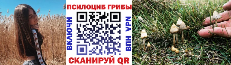 Псилоцибиновые грибы Psilocybe  Сатка 