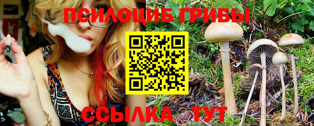 Псилоцибиновые грибы Psilocybe  Псилоцибиновые грибы ЛСД  Сатка  Вход с VPN 