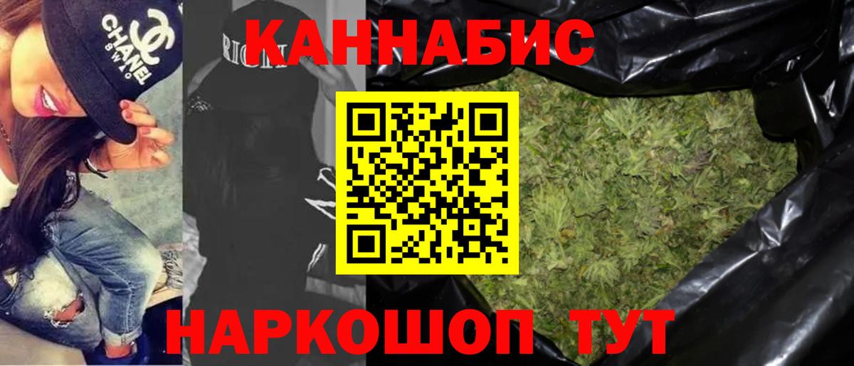 Конопля гибрид Сатка